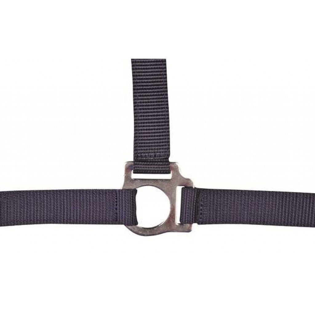 HKM Head Collar -Stars Economy- #colour_deep-blue