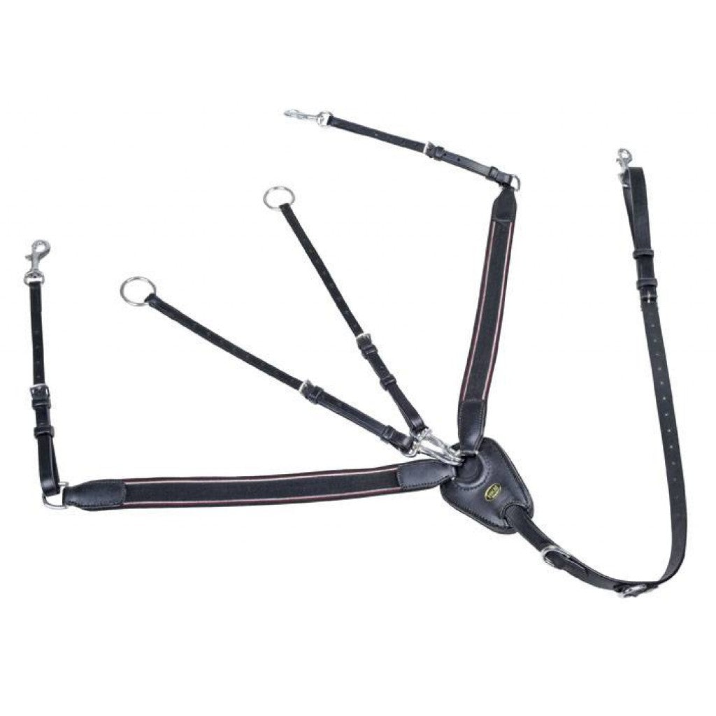 HKM Vorderzeug mit Martingal