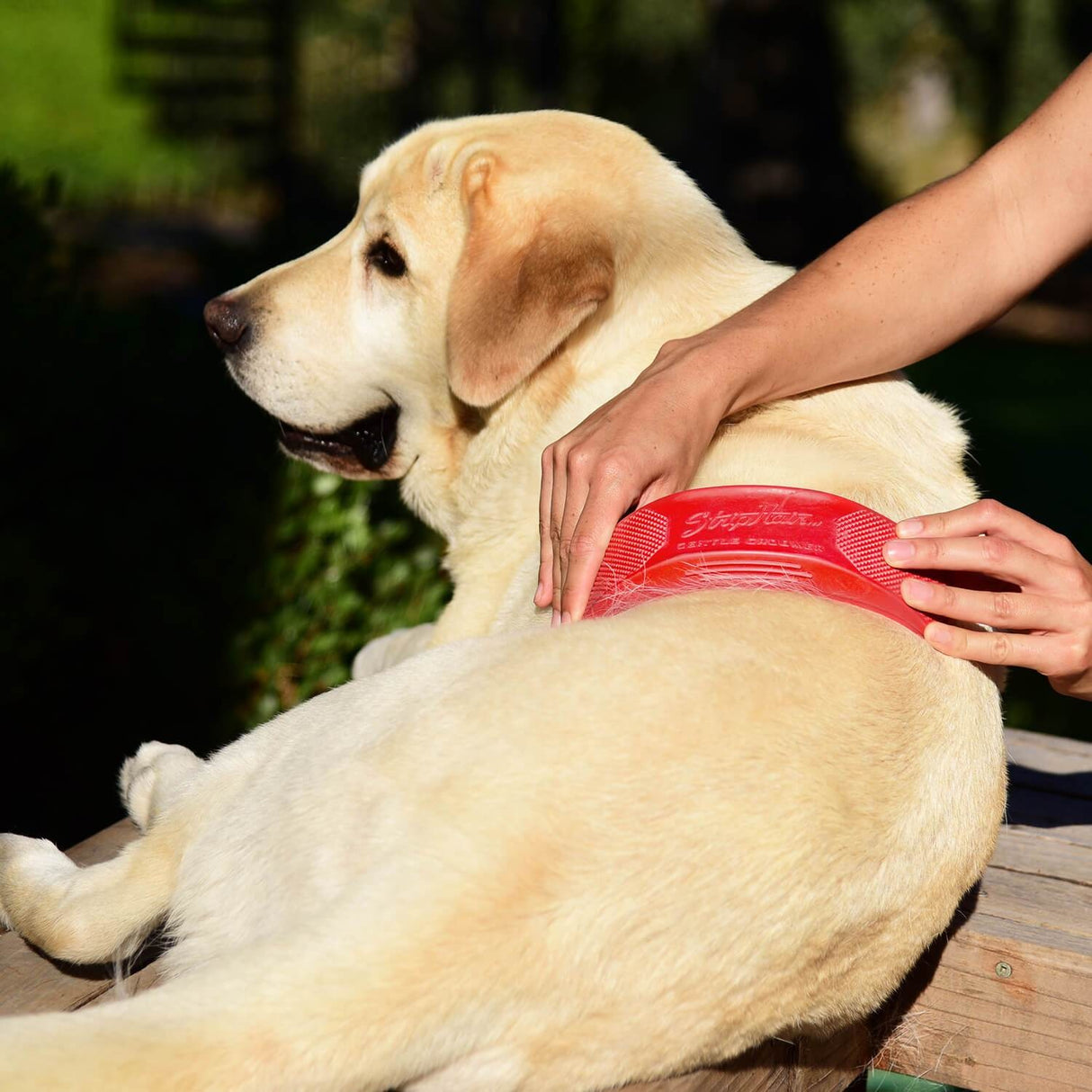 StripHair Sanfter Groomer