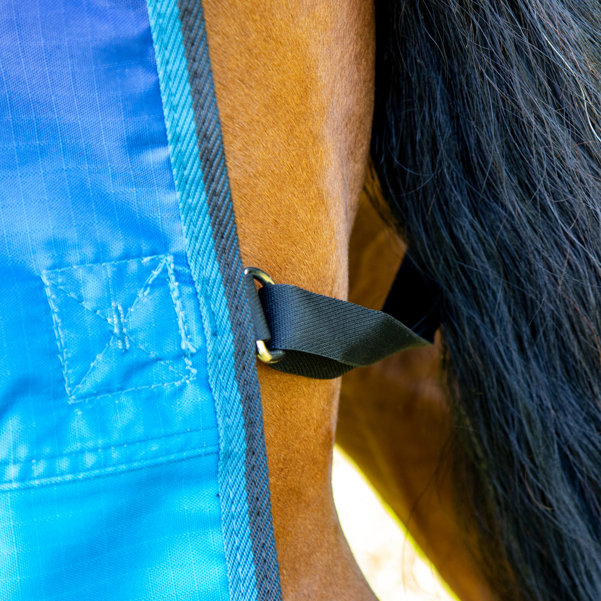 Shires Tempest Original Lite Turnout Combi Rug #colour_blue-skeleton