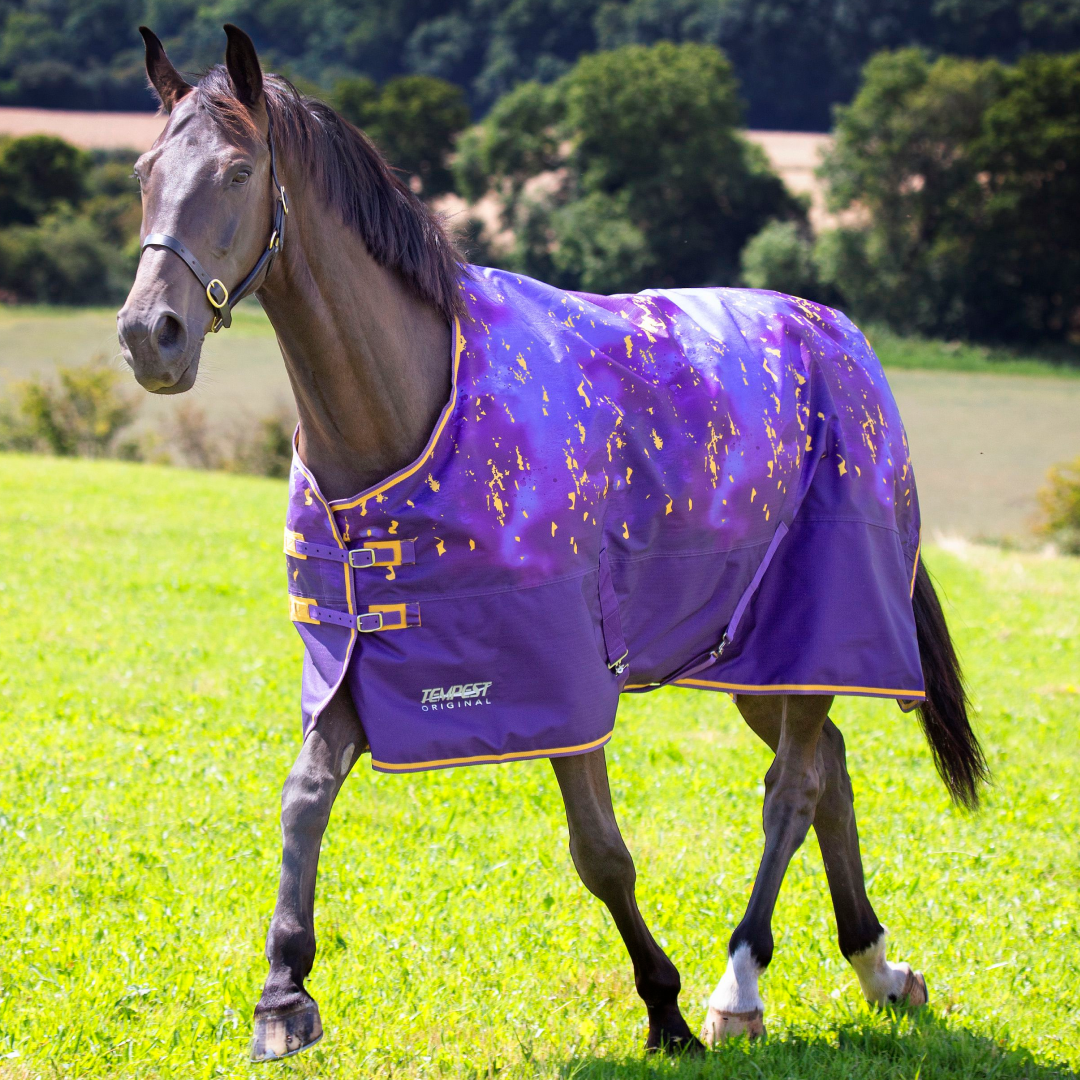 Shires Tempest Original 100g Turnout Rug #colour_amethyst