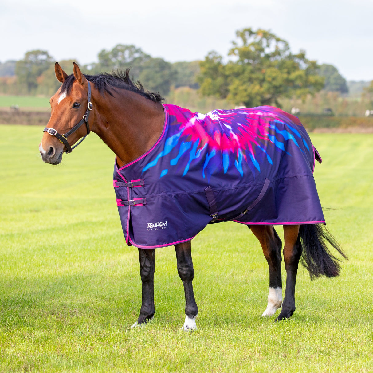 Shires Tempest Original 100g Turnout Rug #colour_pink-tie-dye