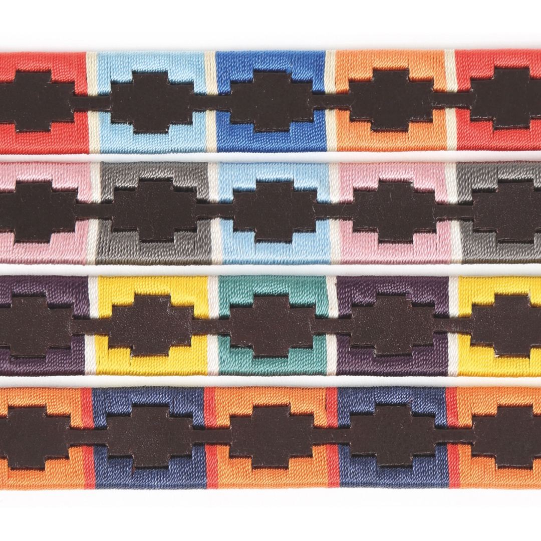 Collier pour chien Shires Digby & Fox Drover Polo