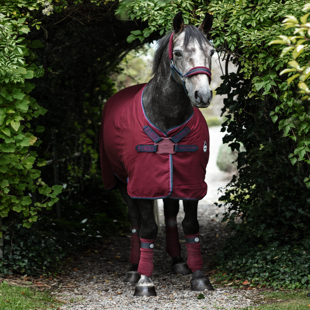 #colour_burgundy-teal-navy