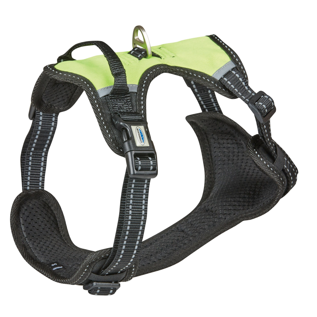 Weatherbeeta Anti Pull/Travel Harness #colour_black-yellow