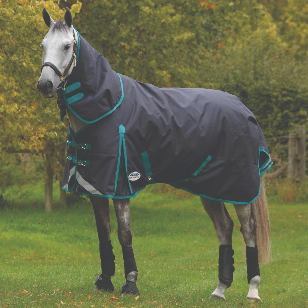 Weatherbeeta Comfitec Plus Dynamic II Detach-A-Neck Medium #colour_black-aqua