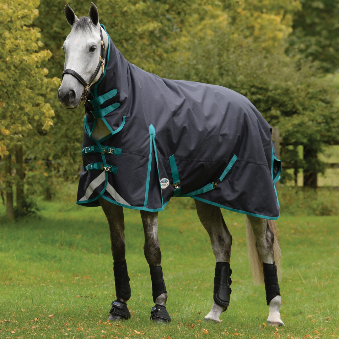 Weatherbeeta Comfitec Plus Dynamic II Combo Neck Medium #colour_black-aqua