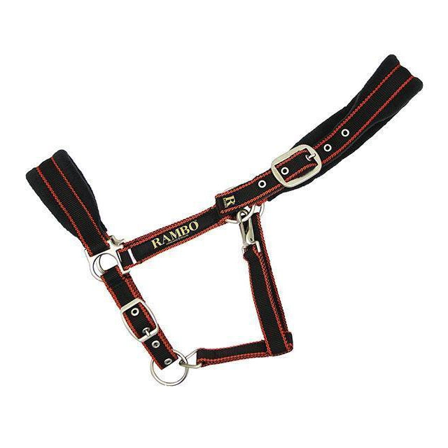 #colour_black-orange