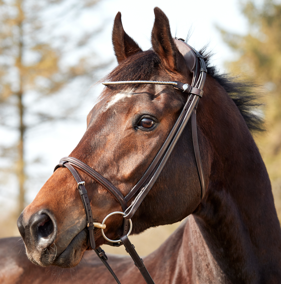 Finesse Zorro Flash Bridle #colour_brown-brown-silver