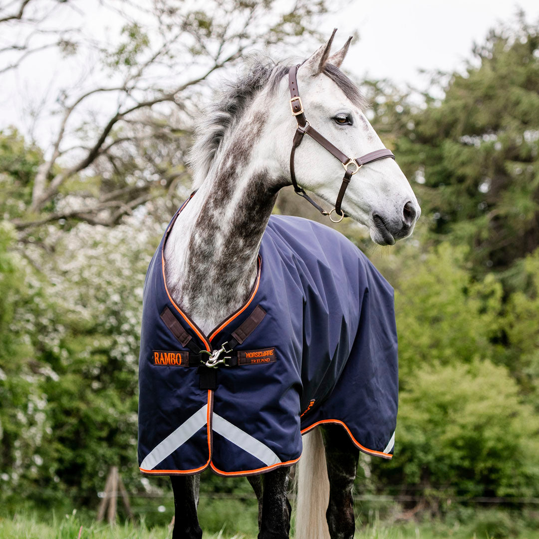 #colour_navy-orange-tan-brown