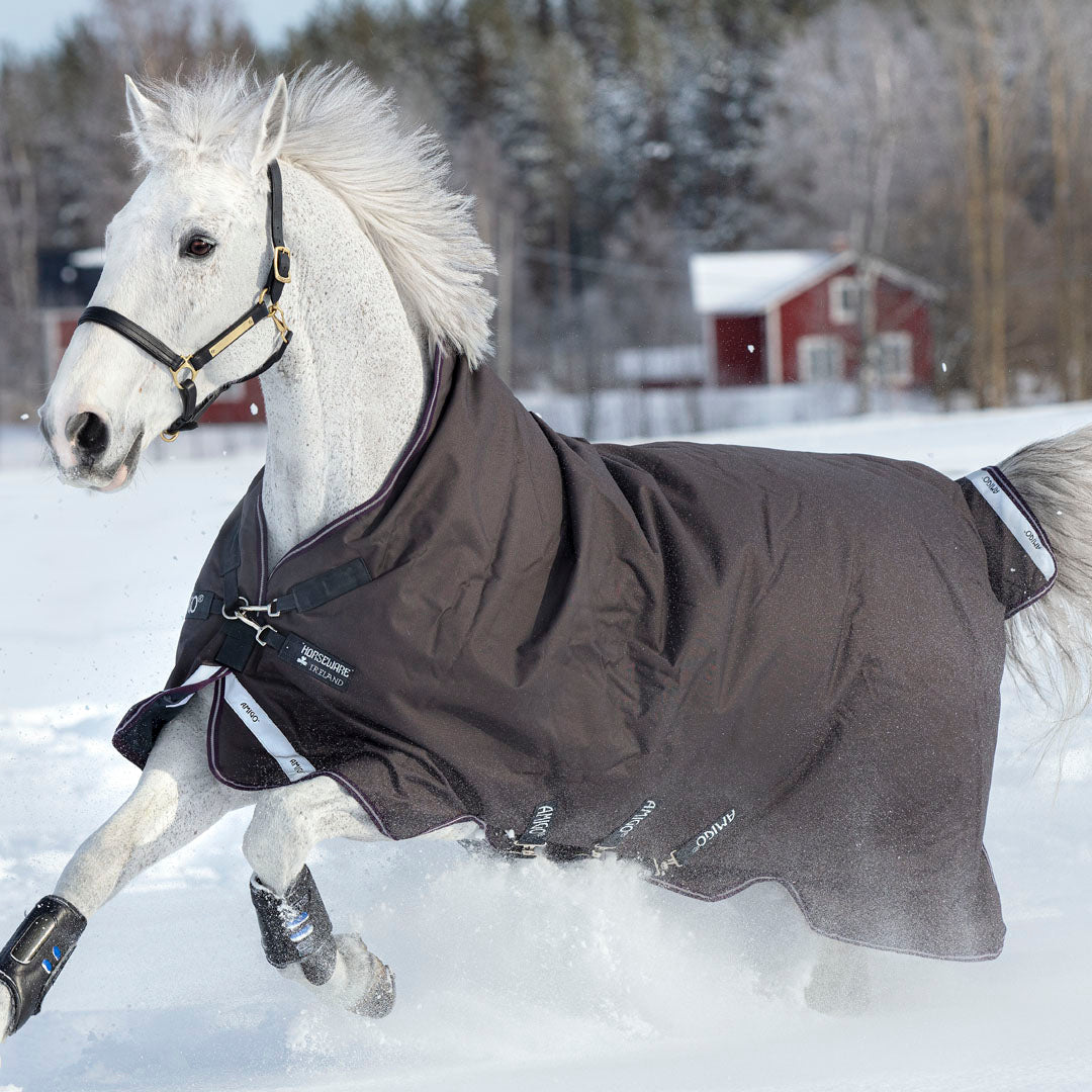 Horseware Ireland Amigo Bravo 12 Wug 250g Medium Turnout Rug #colour_excalibur-purple