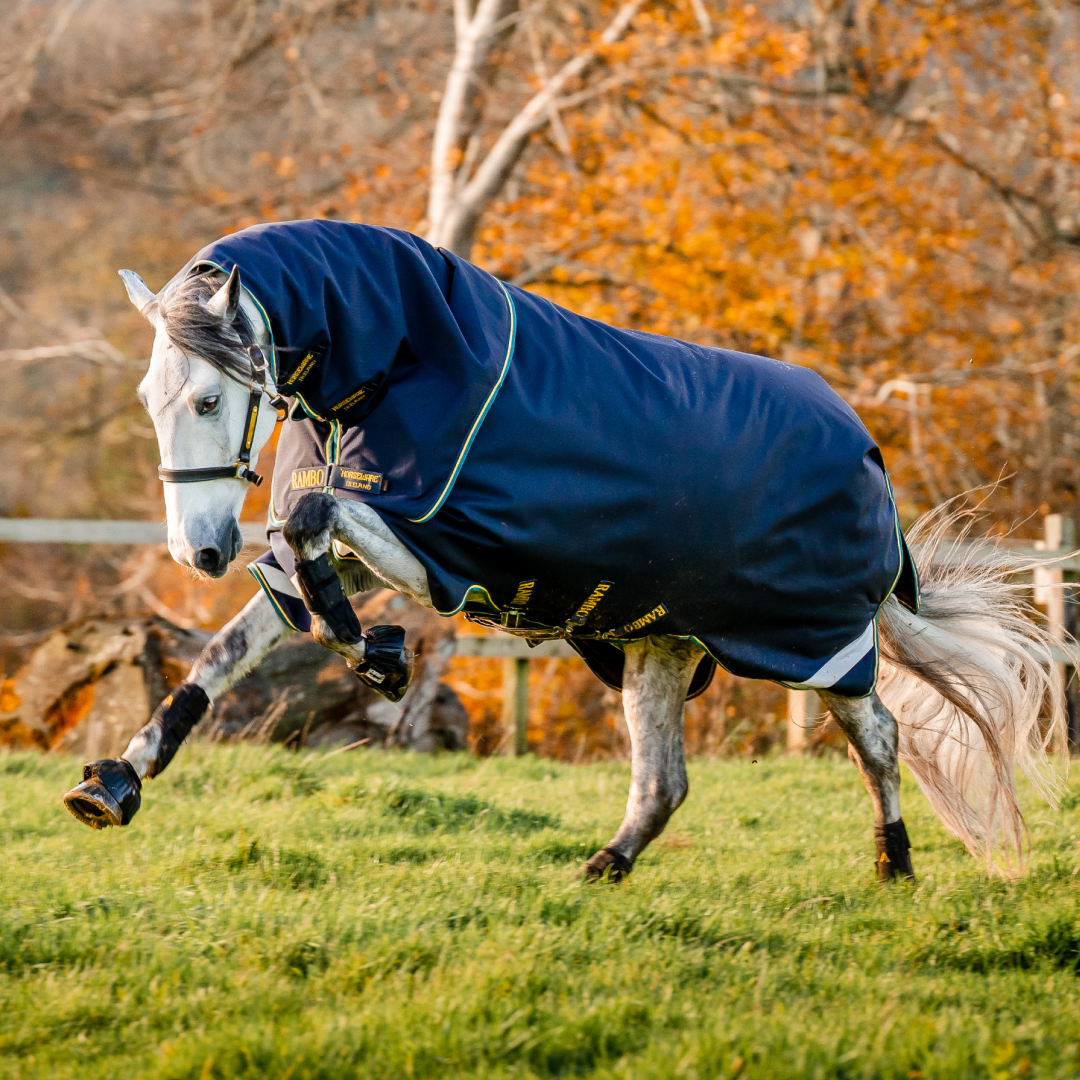 Horseware Ireland Rambo Duo Force 2.0 #colour_navy-teal-yellow-navy