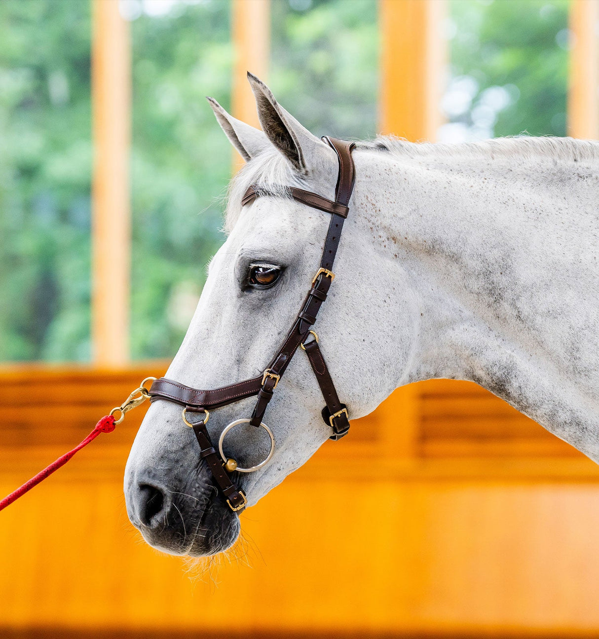 Horseware Ireland Micklem 2 Multi Bridle #colour_dark-havana