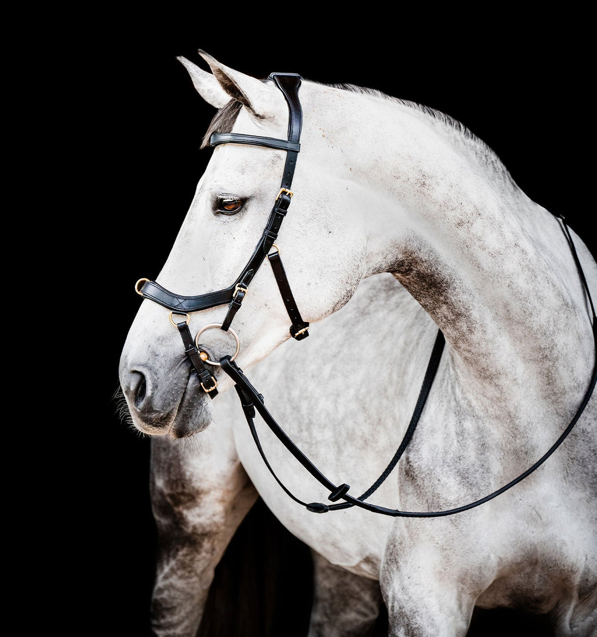 Horseware Ireland Micklem 2 Multi Bridle #colour_black