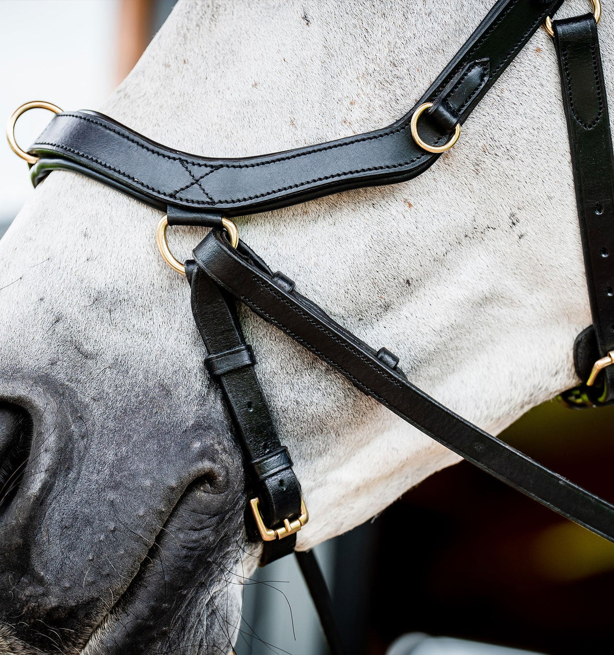 Horseware Ireland Micklem 2 Multi Bridle #colour_black