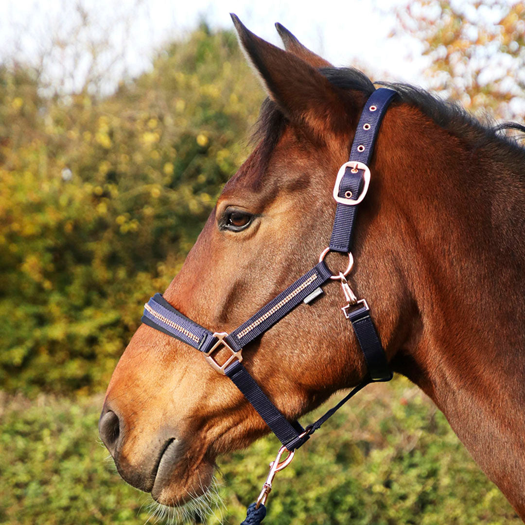 #colour_navy-rose-gold