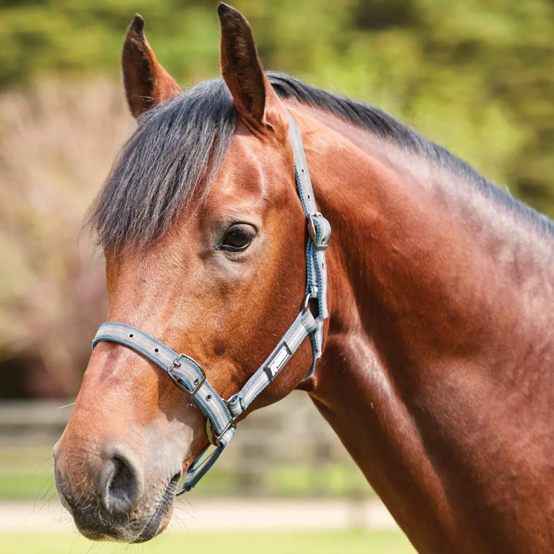 #colour_blue-grey-white