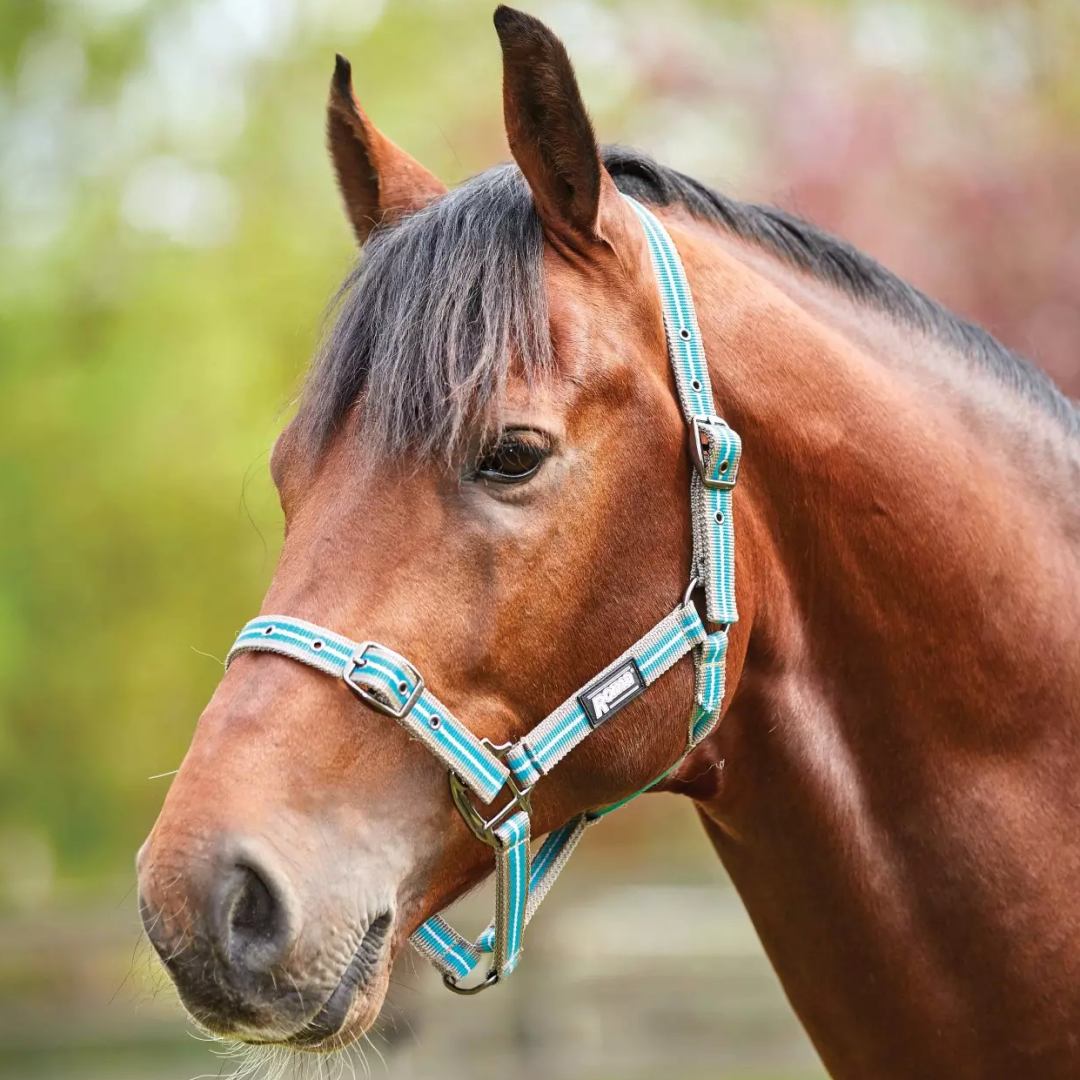 #colour_grey-peach-turquoise