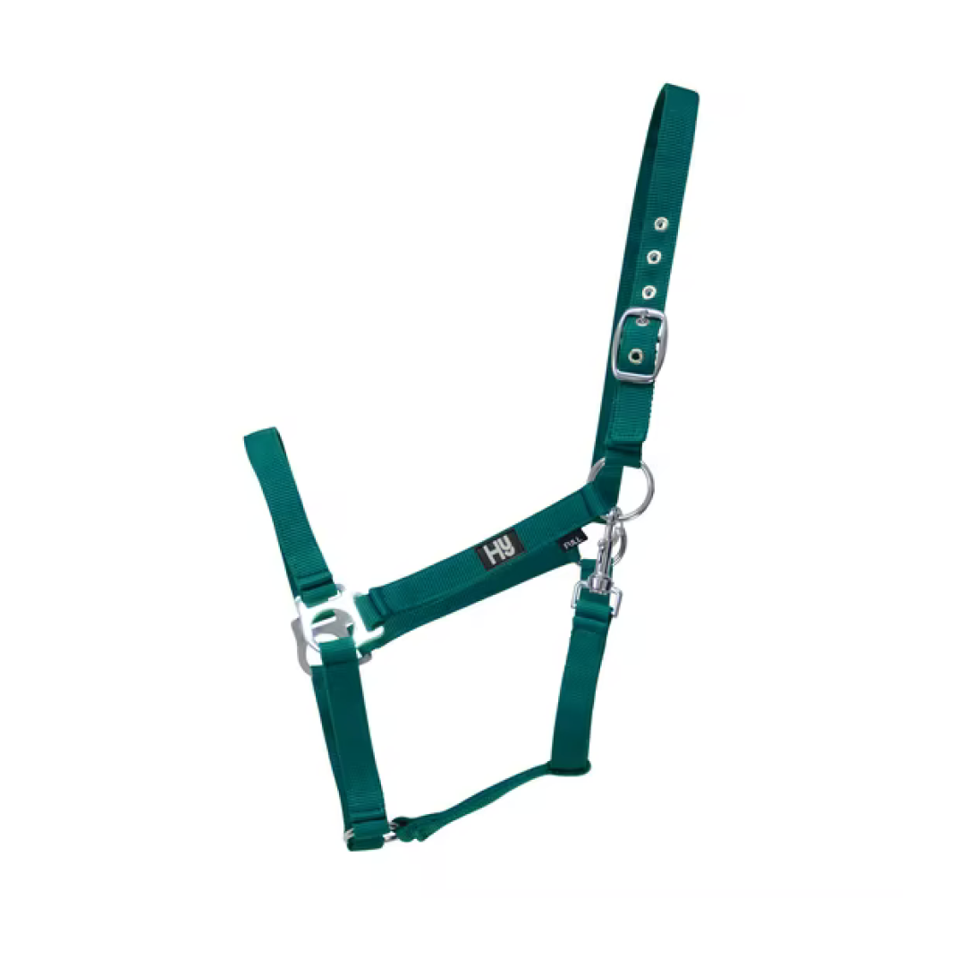 #colour_metallic-bottle-green