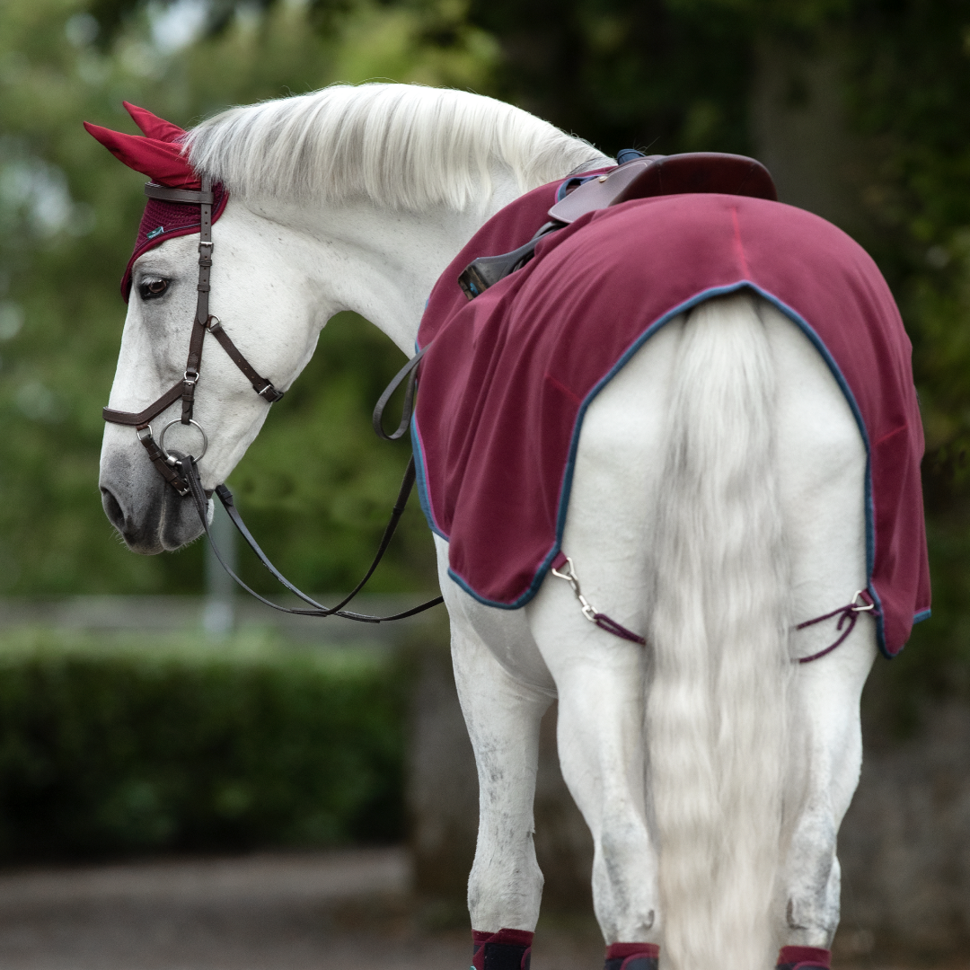 #colour_burgundy-teal-navy