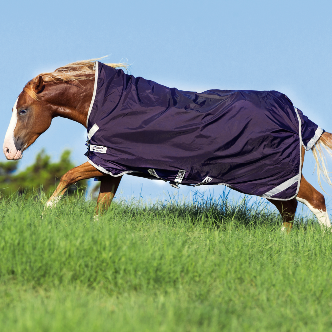 Horseware Ireland Rambo Wug Turnout Lite 0g #colour_dark-purple-silver