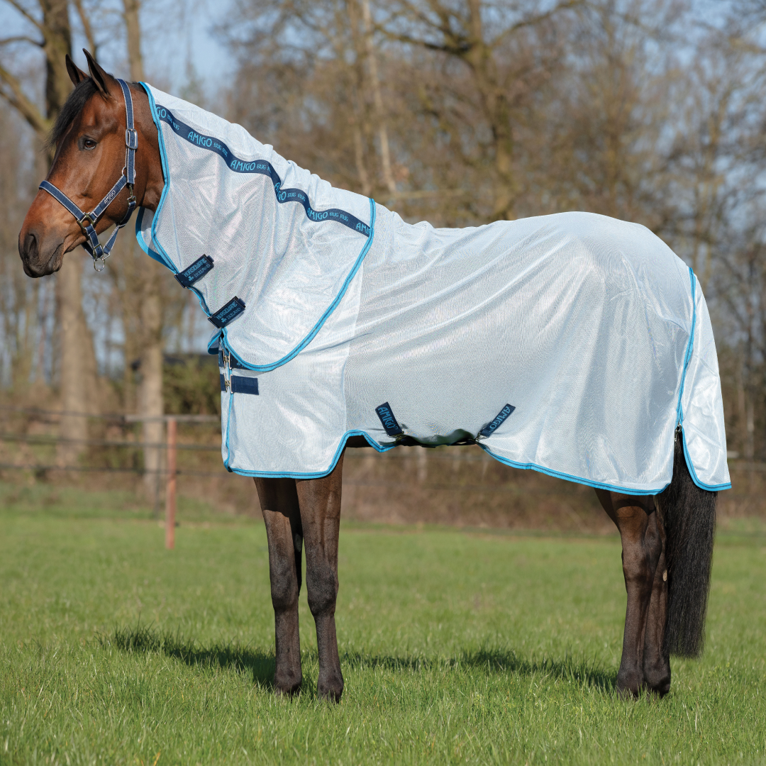 #colour_azure-blue-electric-blue-navy