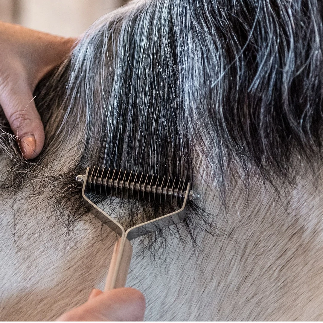 스마트 손질 스마트 맨스