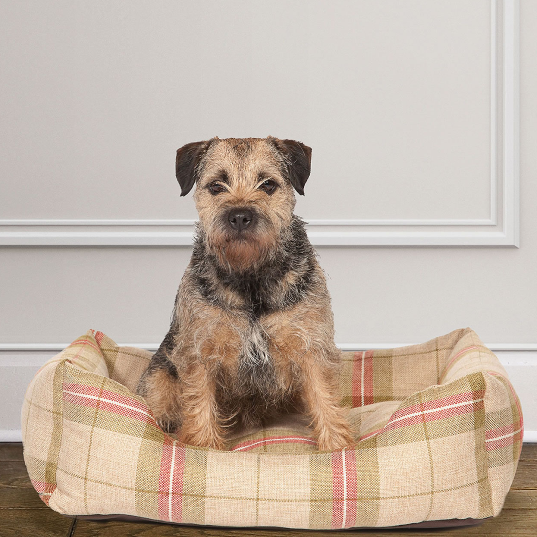 Danish Design Newton Snuggle Bed #colour_moss