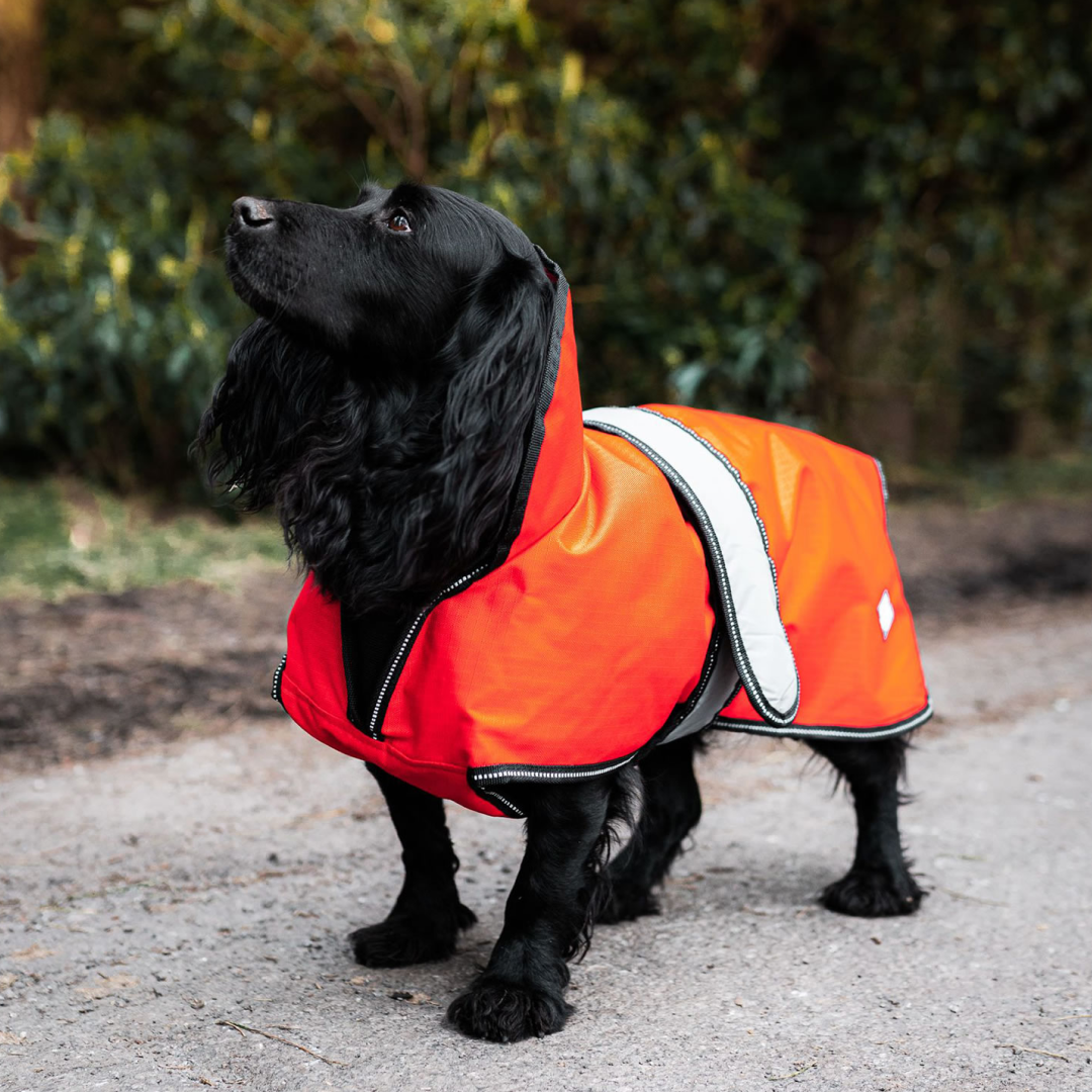 Danish Design Ultimate 2-In-1 Dog Coat #colour_orange