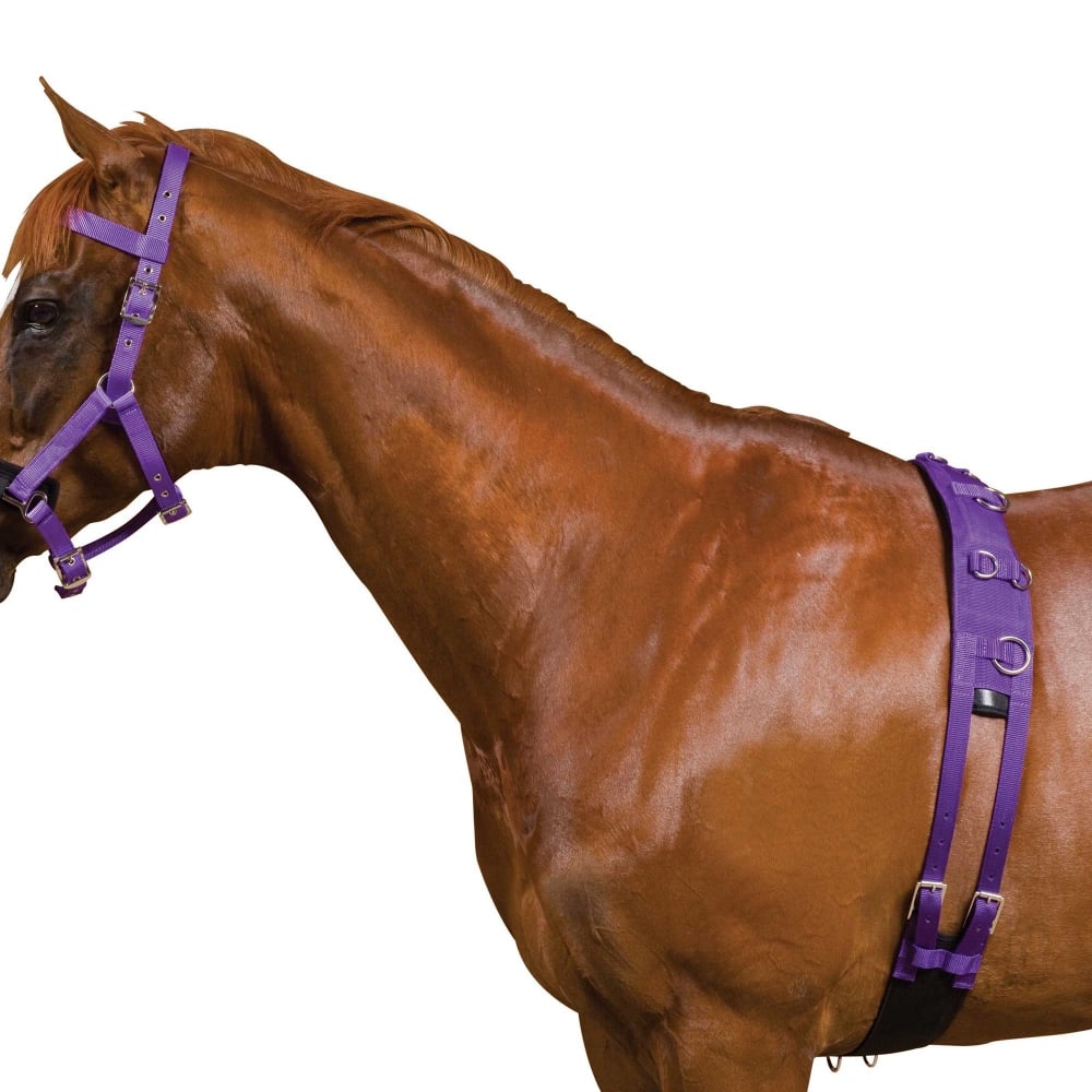 Kincade Deluxe Equigrip Ausfallschrittrolle