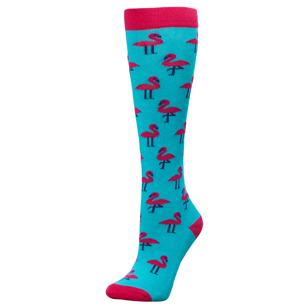 Dublin Single Pack Socks Adults #colour_aqua-flamingos