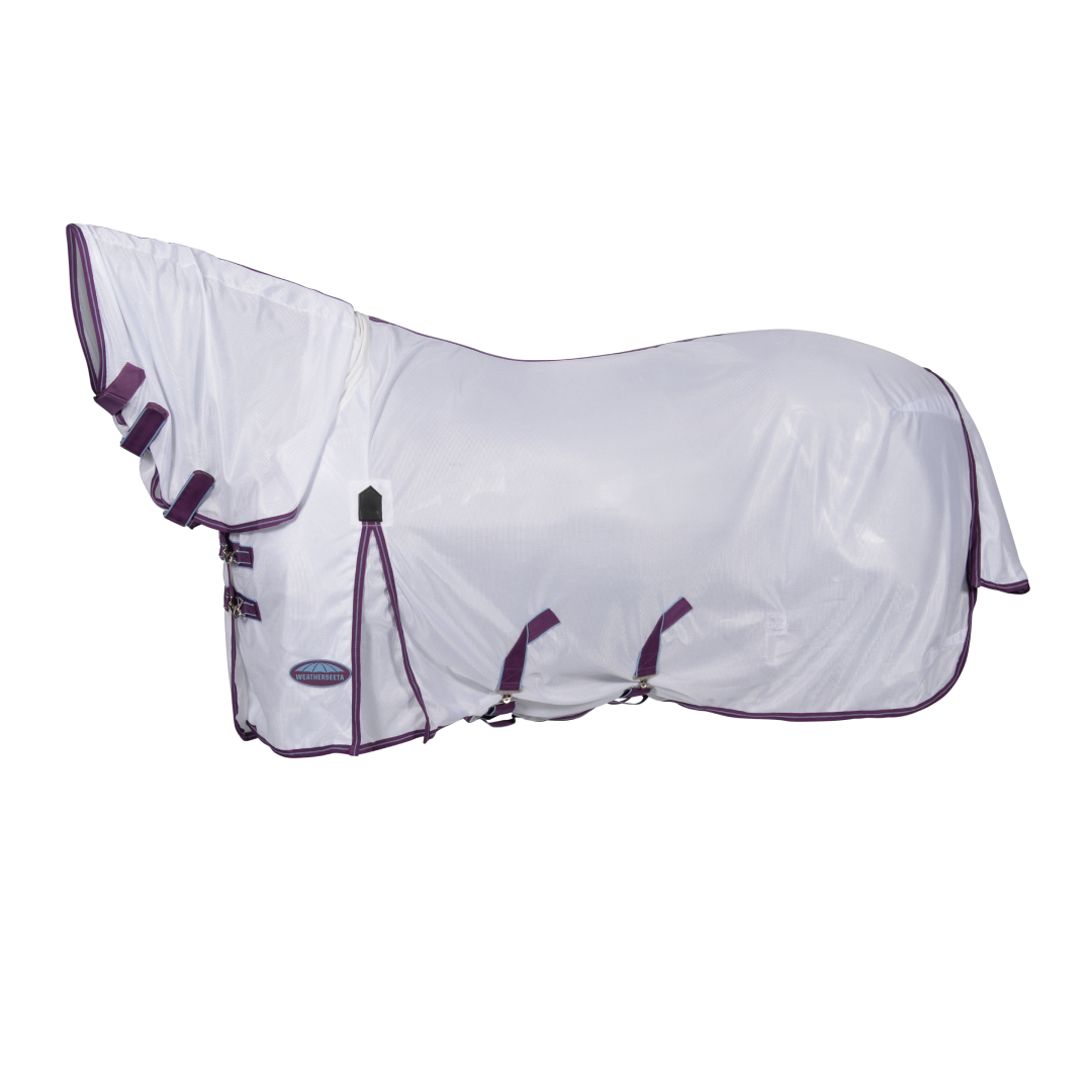 #colour_white-violet-blue