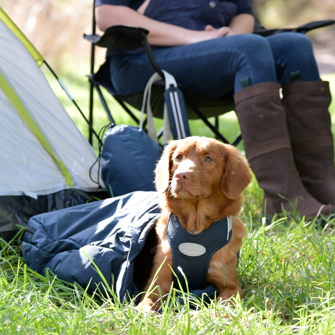 Weatherbeeta Explorer Dog Sleeping Bag #colour_navy
