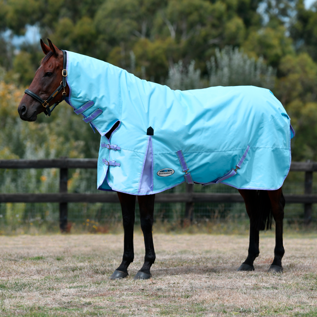 Weatherbeeta Comfitec Classic Combo Neck Medium/Lite #colour_light-blue-purple