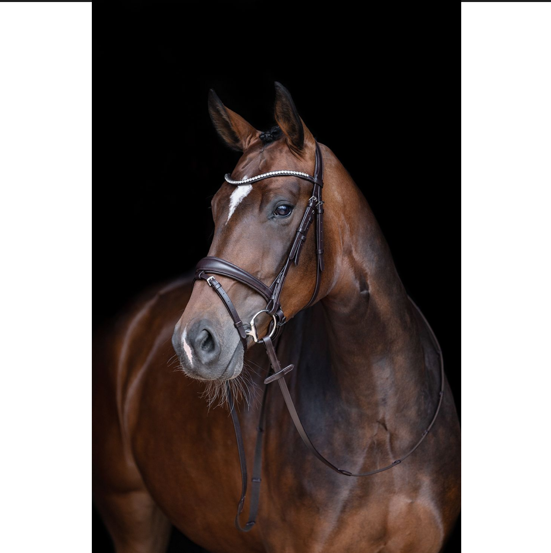 HKM Melinda Bridle #colour_brown