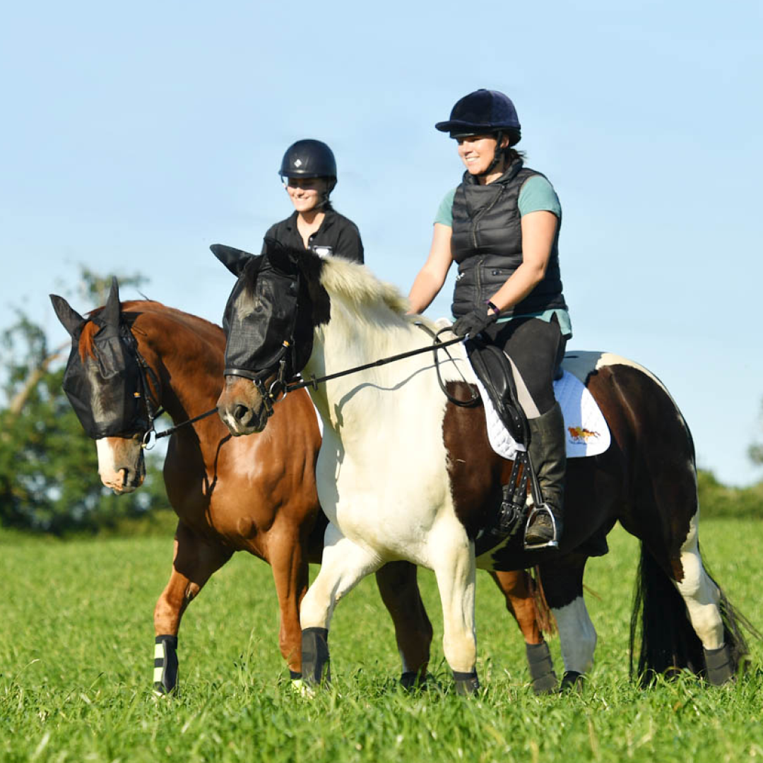 Equilibrium Net Relief Riding Mask #colour_black