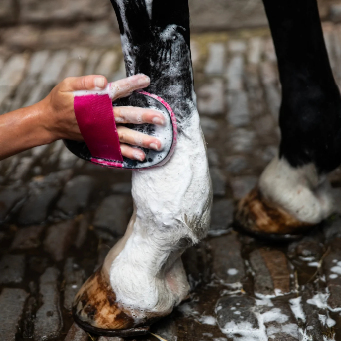 Smart Pruoming Deluxe Super Groomer