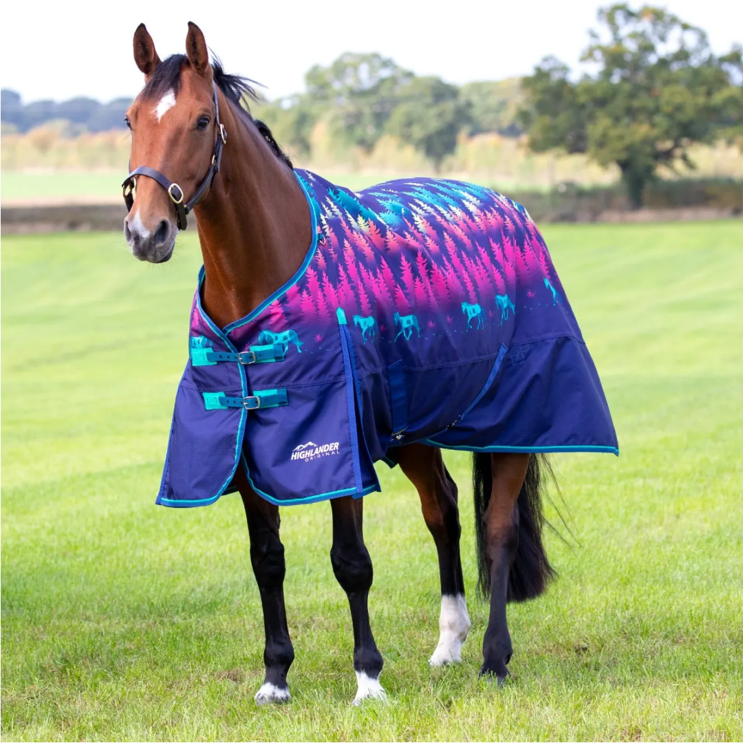 Shires Highlander Original 200g Turnout Rug #colour_navy-forest