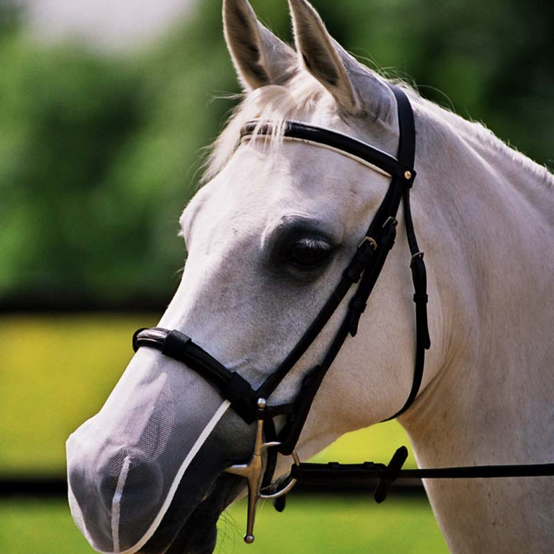 Net Relief Muzzle Net #colour_white