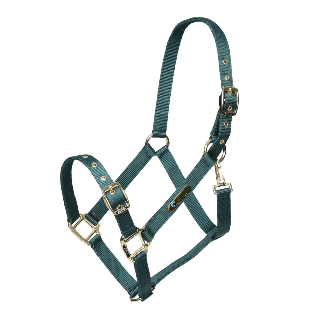 Shires ARMA Adjustable Headcollar #colour_green