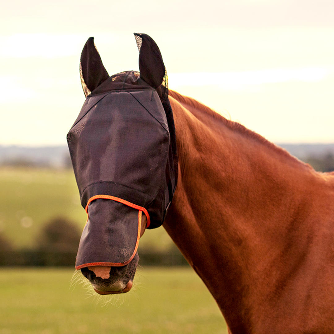 Equilibrium Field Relief Max Fly Mask #colour_black-orange