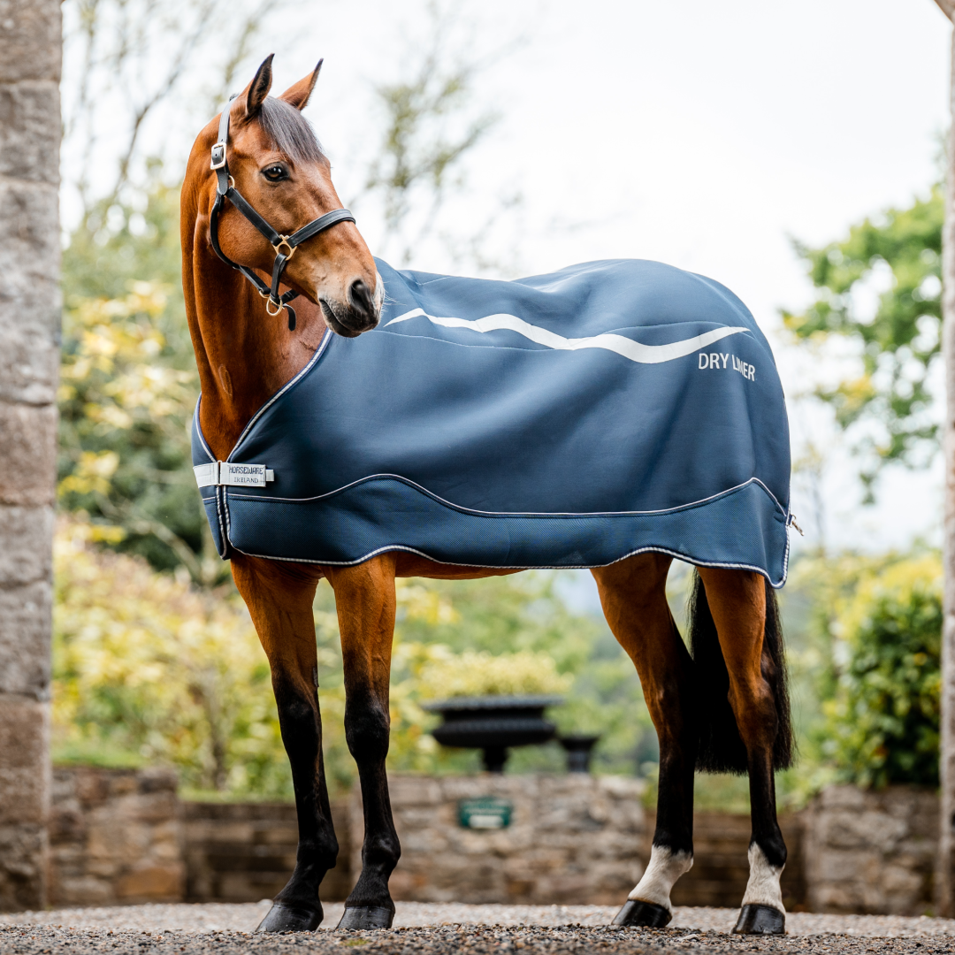 Horseware Dry Liner #colour_navy-silver