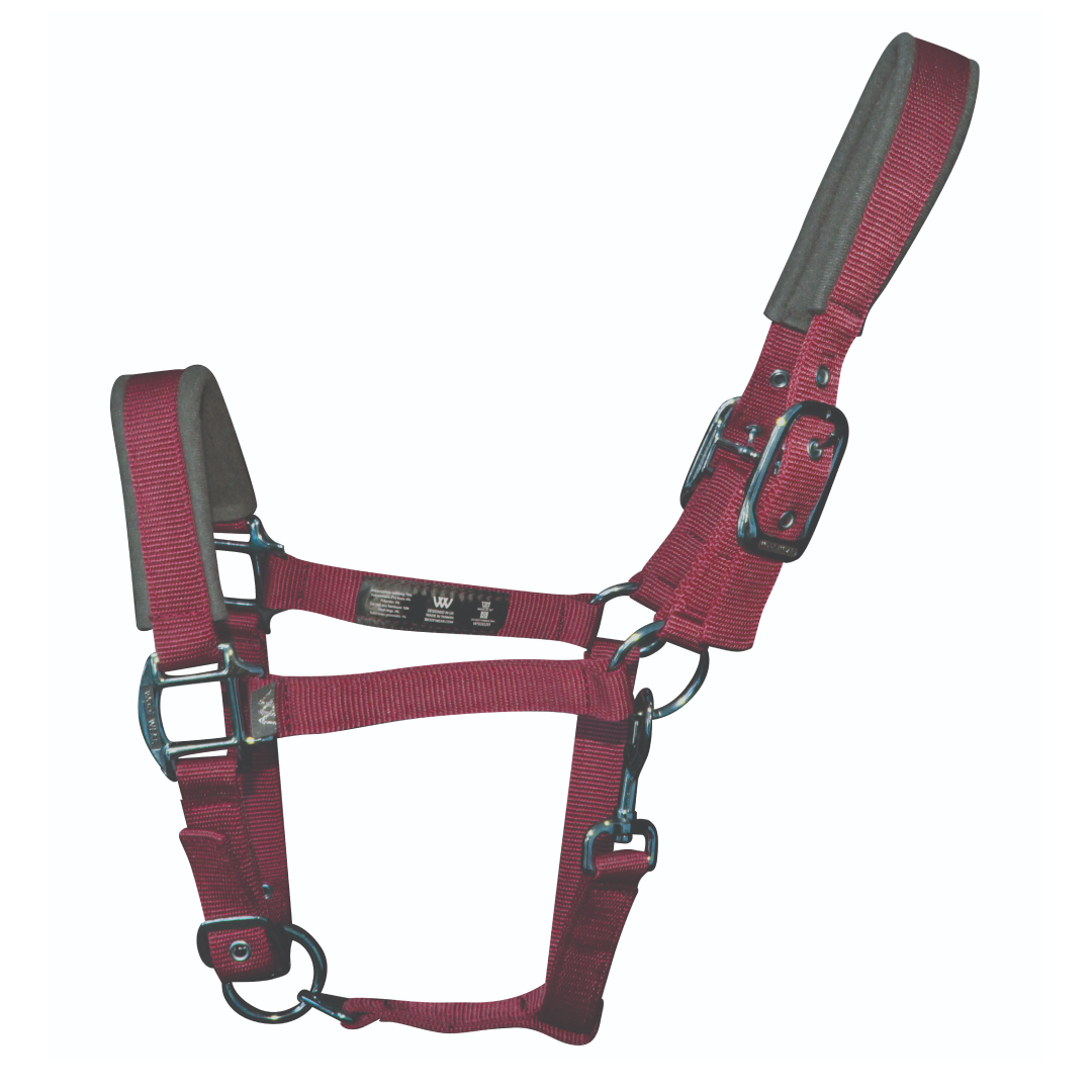 Woof Wear Colour Fusion Contour Headcollar #colour_shiraz