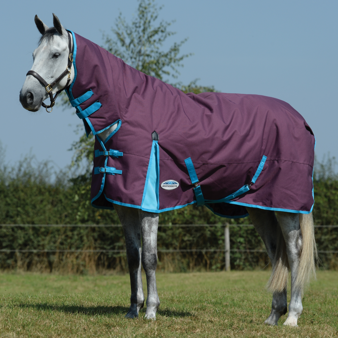 Weatherbeeta ComFiTec Essential Combo Neck Heavy Turnout Rug #colour_grape-purple-blue