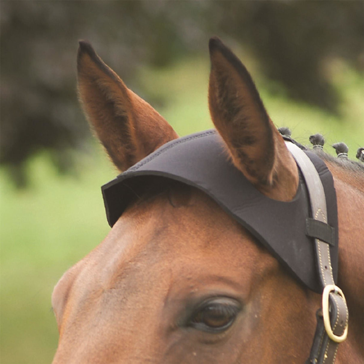 Hy Poll Guard - Noir - Cob/Full