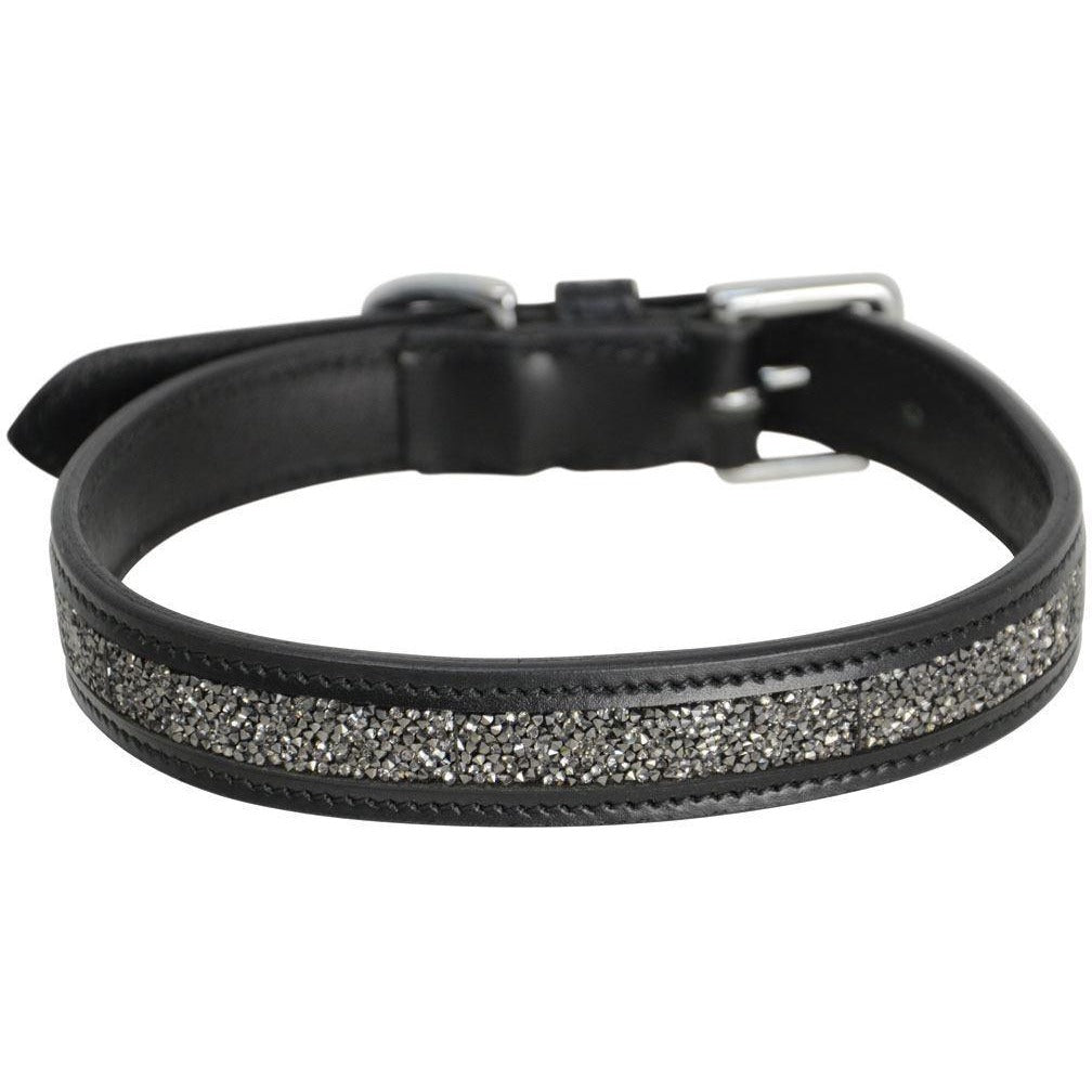 hy crusted dog collar