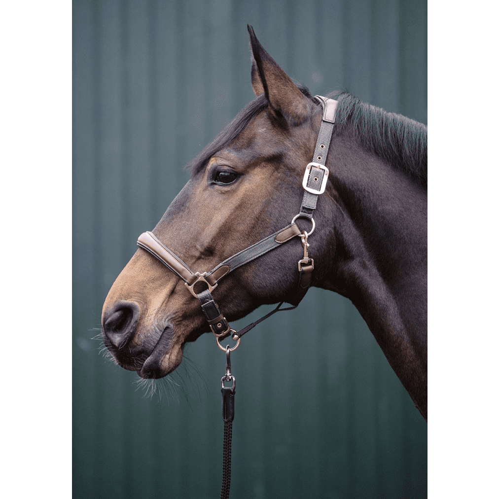 HKM Luna Leather & Nylon Head Collar #colour_green-brown