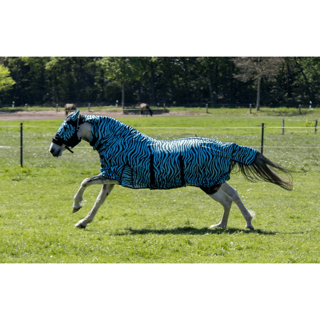 HKM Zebra Aqua Fly Rug With Neck #colour_aqua-black