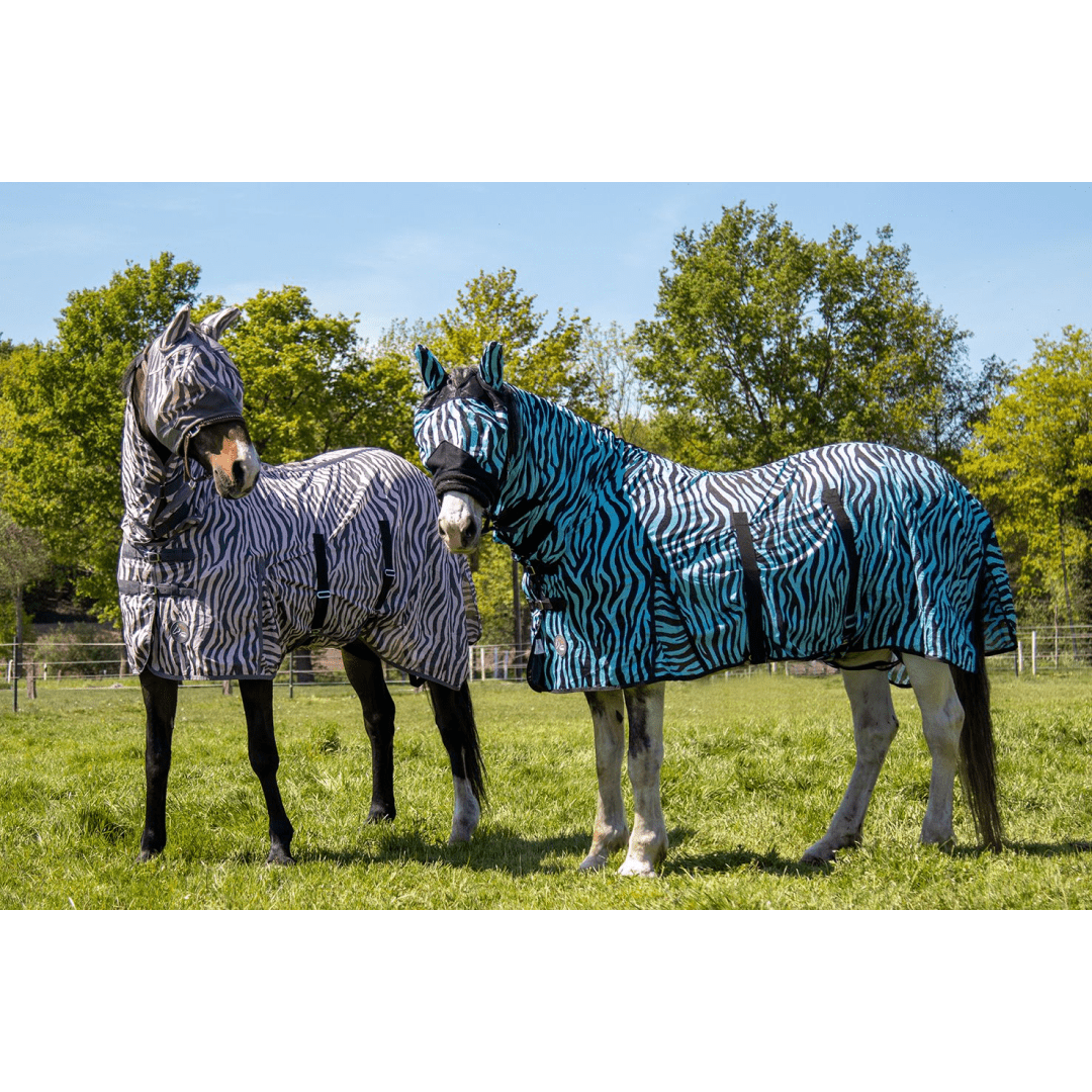 HKM Zebra Aqua Fly Rug With Neck #colour_aqua-black
