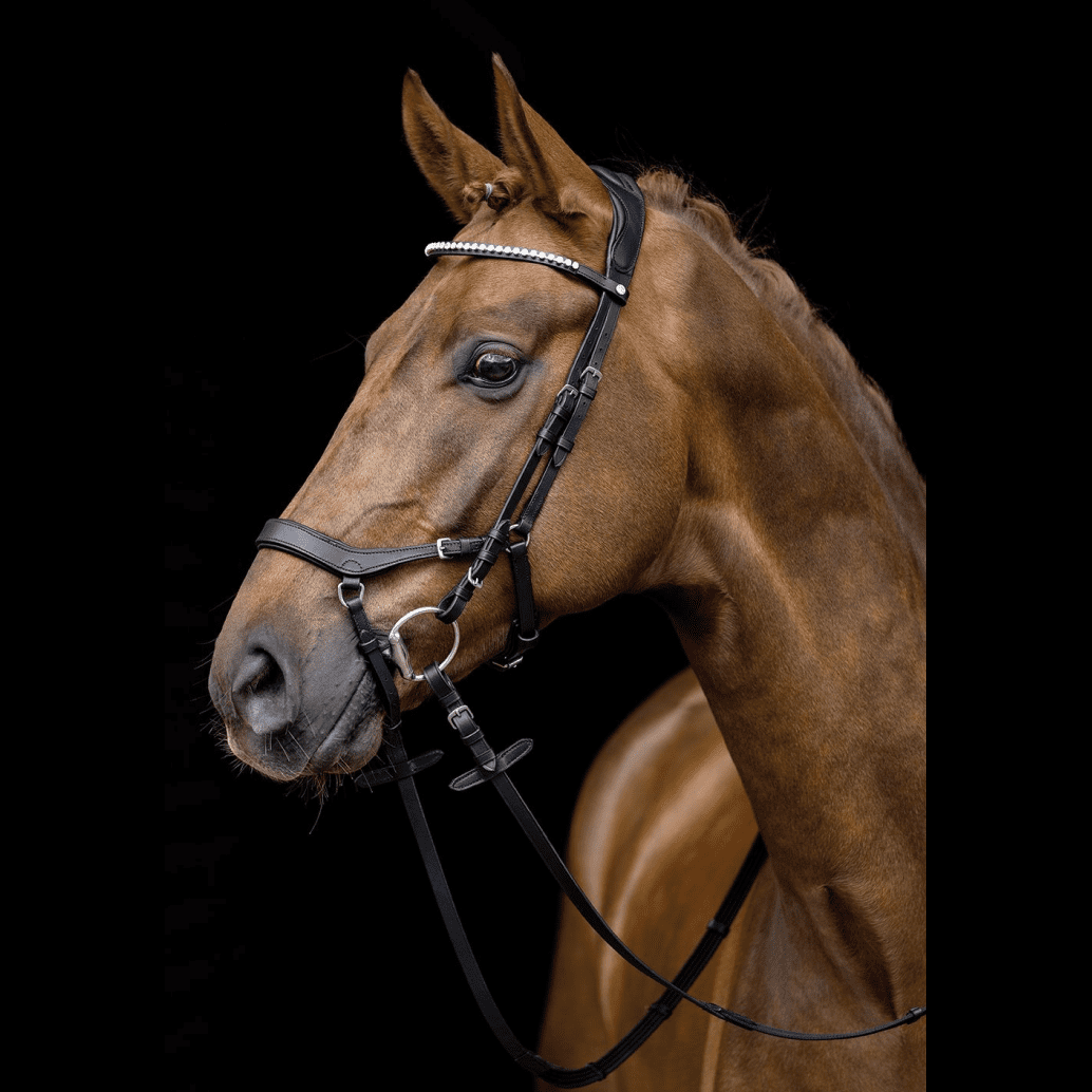 HKM Pro Anatomic Bridle #colour_black